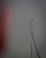 Matrix Prút Horizon X Ultra Pro Slim 3,3 m 30 g (14)