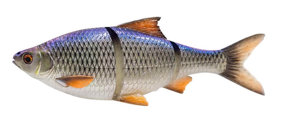 E-shop Savage gear gumová nástraha 3d line thru roach slow sinking blue roach - 25 cm 206 g