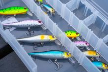 Zebco Wobler Demonic Troutseeker Sardine 4 cm 2,2 g (5)