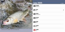 ČRS Stolový Rybársky Kalendár Na Rok 2025 (8)