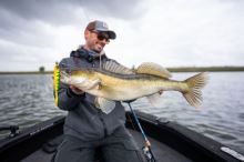 Berkley Gumová Návnada Powerbait Cullminnow Firetiger (11)