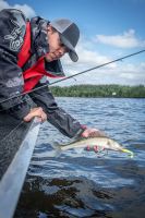 Fox Rage Montáž Drop Shot Micro Ready Rig 3 ks (4)