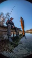 Berkley Gumová Nástraha PowerBait Nessie Green Pumpkin (3)