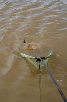 Korum Podberákova Hlava Power Folding Triangle Latex (6)