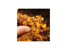 Chytil Methodmix Kaprie Dobroty (4)