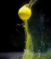 CC Moore Atraktor NS1 Halo Yellow 100 ml (1)