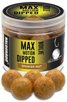Haldorádó Dipované Boilies Dipped Max Motion 80 g 20 mm (6)