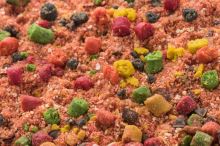 Mivardi Krmítková Zmes R1 Carp 950 g (2)