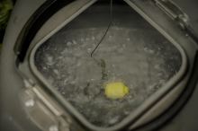 One More Cast Zmršťovacia Hadička Vitabitz Simply Shrink Tubing Green 8 x 55 mm (11)