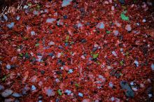 LK Baits Pelety IQ Method Fruit (2)