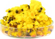 Mikbaits Partiklový Mrak 1,5 kg (2)