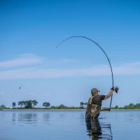 Avid Carp Prút Revolve Rods 3 m 3 lb (5)