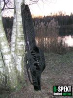 R-spekt Double 12,6' polstrované čierne púzdro na 2 prúty (5)