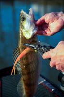 Fox Rage Kliešte Belt Pliers 23 cm (16)