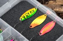Zebco Krabička Magic Micro Box EVA Plus 12 Slot (4)
