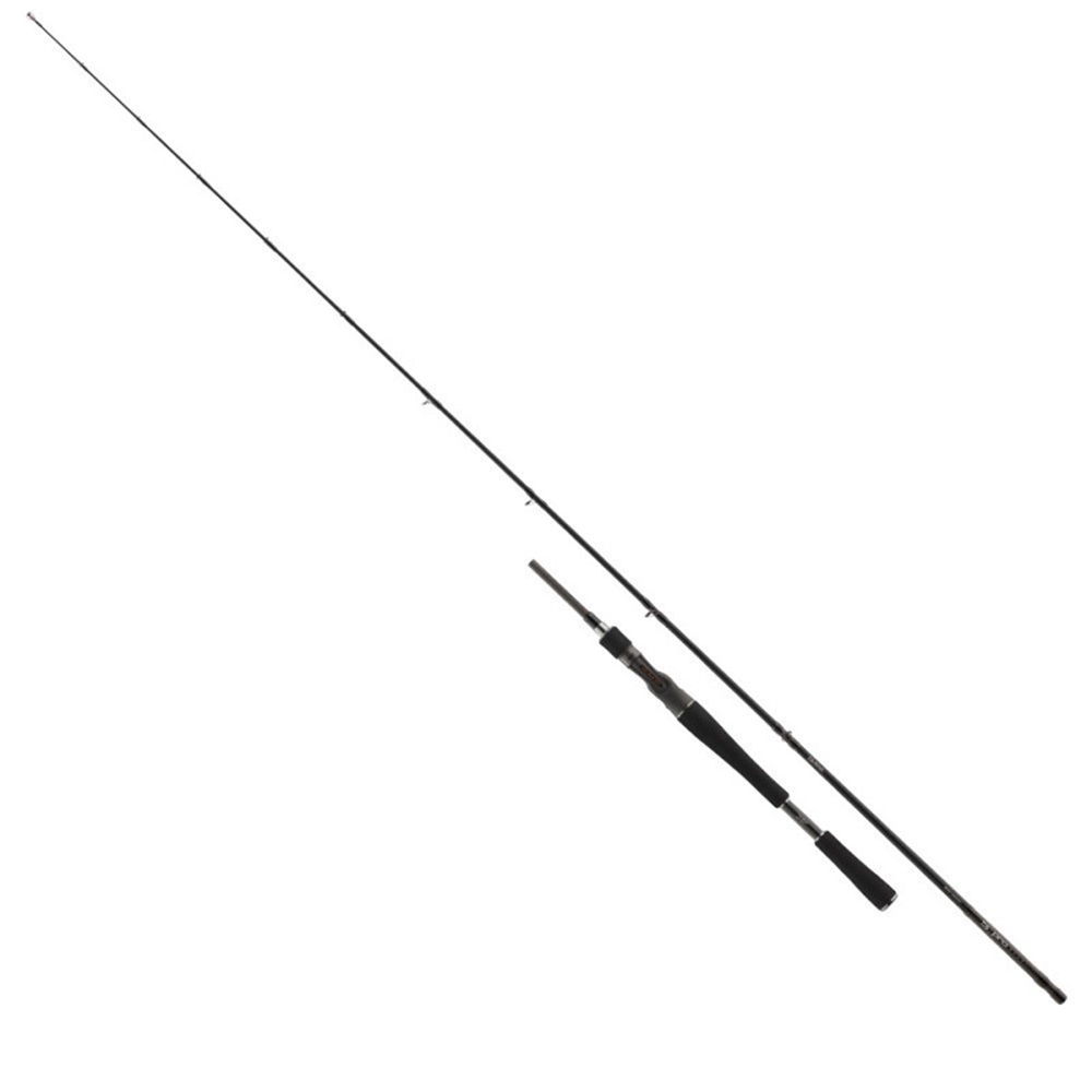 Daiwa prút pro staff bc 2.00m 30-80g