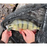 Savage Gear Gumová Nástraha Black Bass Pro Pack Kit Mix (2)