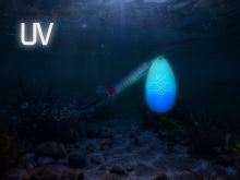 Delphin Rotačka Arch RedEND (3)