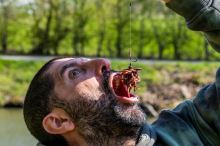 One More Cast Zarážky Tweakers Wormurai Sprig Stop Kit 1+12 ks (11)