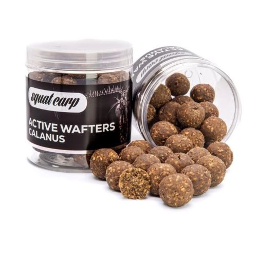 Squat Carp Vyvážené Boilies Active Wafters Calanus