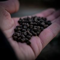 Munch Baits Pelety Bio Marine Pellet (3)