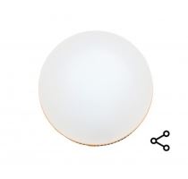 Flajzar Svetlo WRL1 (2)