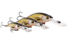 Westin Wobler BuzzBite Crankbait Suspending Bling Perch 6 cm 10 g (4)