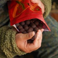 One More Cast Boilie Stabilised Boilie Paella (6)