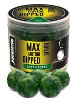 Haldorádó Dipované Boilies Dipped Max Motion 80 g 20 mm - Španielsky Orech