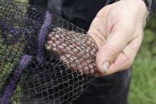 Browning Podberáková Hlava CK Competion Net 45x35x28 cm 8x8 mm (7)