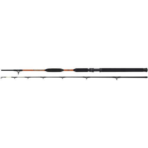 WFT Prút Never Crack Boat Cat II 2,4 m 200-1000 g