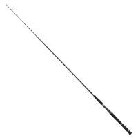 Daiwa Prút Pro Staff Baitcast Catfish 1,9 m 180 g (1)