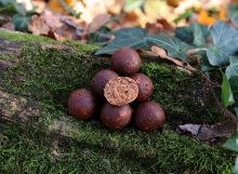 Mivardi Boilies Rapid Platinum ProActive Sea (2)