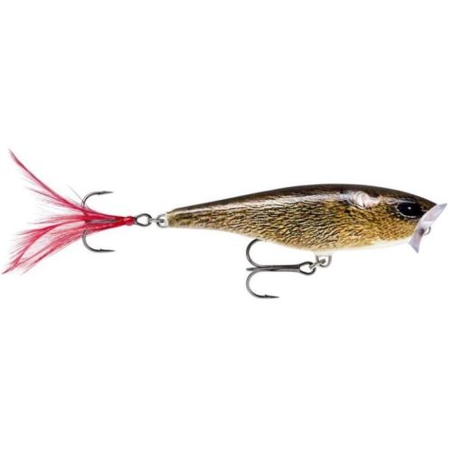 Rapala Wobler Skitter Pop Top Water Fresh FML