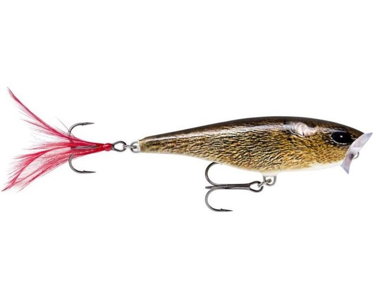 Rapala wobler skitter pop top water fresh fml - 9 cm 14 g