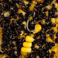 Nash Háčiky Twister X Micro Barbed 10 ks (5)