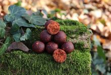 Mivardi Boilies Rapid Excellent ProActive Kaprí Guláš (2)