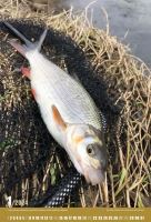 ČRS Nástenný Rybársky Kalendár Na Rok 2024 (1)